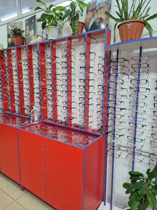 Витрина с разнообразными очками и растениями