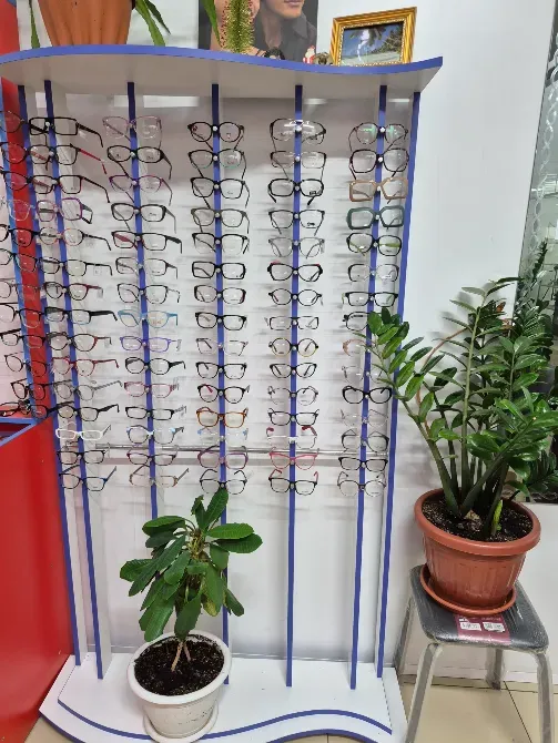 Стенда с оправами для очков и горшочными растениями