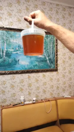 Человек держит прозрачный контейнер с медом, на фоне картины с лесным пейзажем