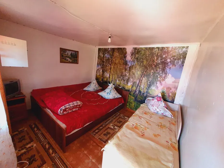 Спальня с двумя кроватями и ярким фоном