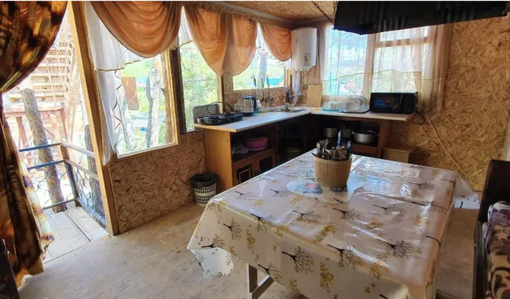 Светлая кухня с оборудованием и видом на улицу