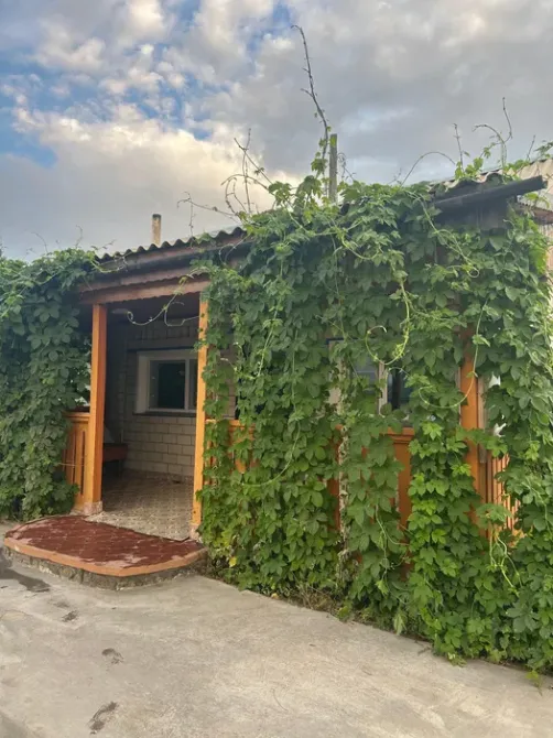 Дом с зелеными вьющимися растениями