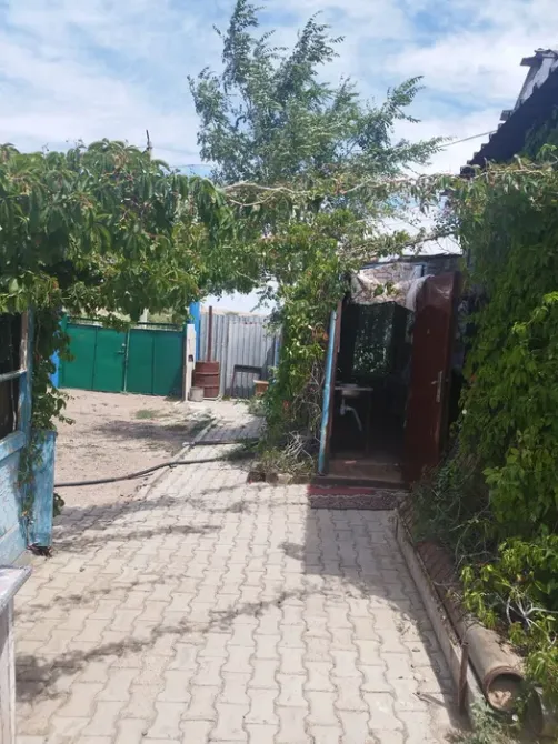 Зелень өсімдіктері мен үй арасындағы жол