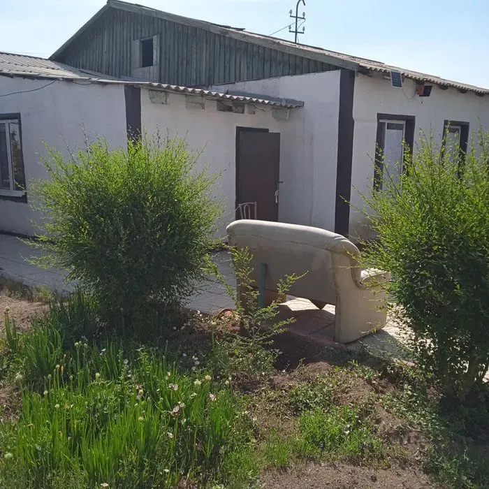 Уголок с диваном и зелеными кустами