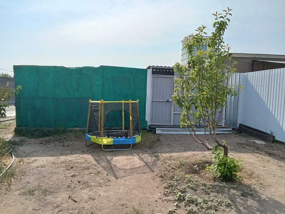 Площадка с батутом и молодым деревом на заднем дворе