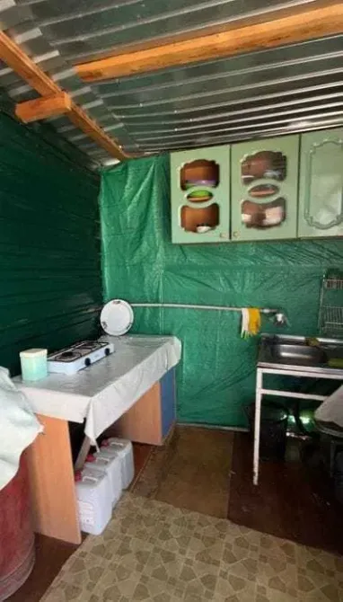 Кухня с зелеными стенами и оборудованием, столом и раковиной