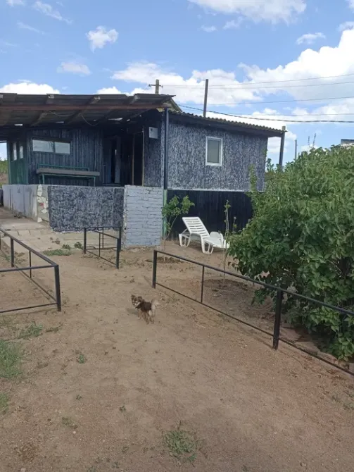 Двор с домом и деревом