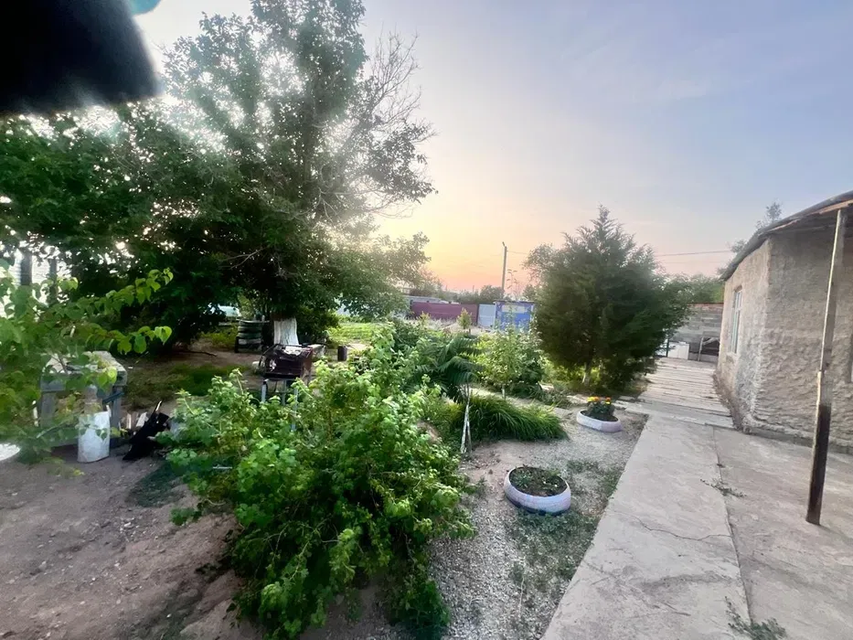 Жолдармен қоршалған көкөніс бағы