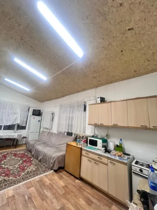 Артқы аулада өсімдіктер мен ағаштары бар бақ