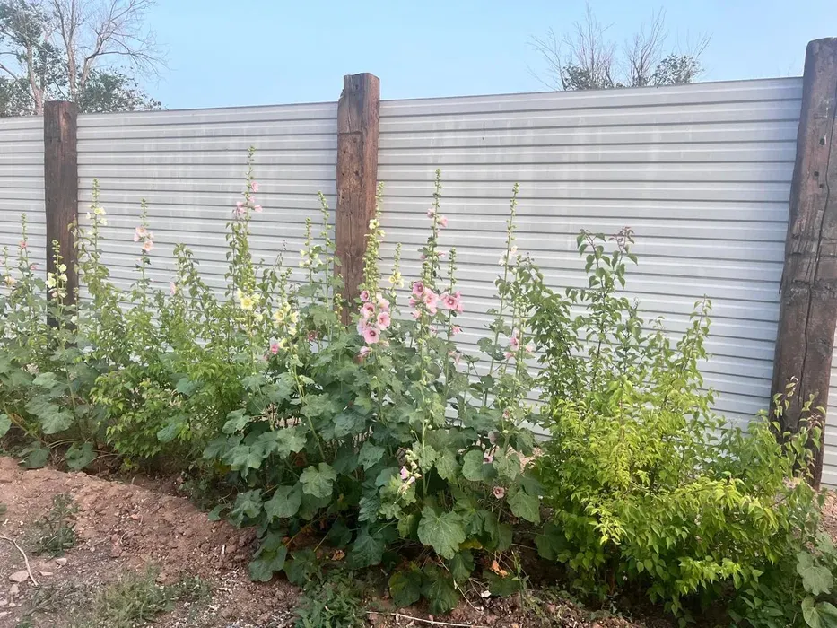 Забордағы өсімдіктер мен гүлдер