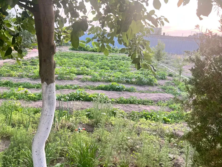 Сдается дача на берегу озера Балқаш - сурет 1