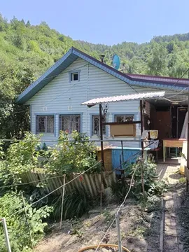 Дом на природе с зелёным садом