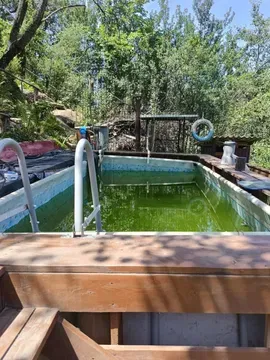 Дом на природе с зелёным садом