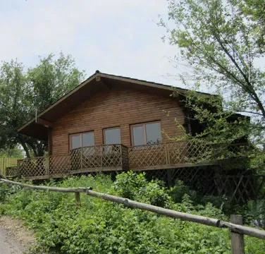 Деревянный дом с верандой на фоне зелени