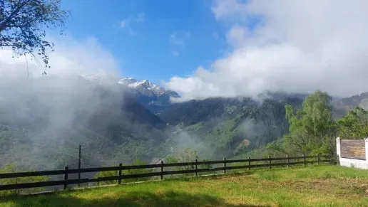 Загородный дом с красной крышей и зелёным газоном