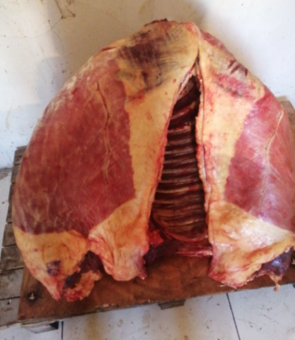 Ж Woodenкеден жасалған негіздегі жартылай кесілген сиыр тушасы