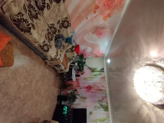 Потолок с люстрой и обстановка в комнате с диваном и растениями