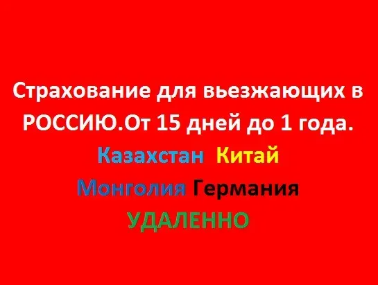 Страхование для въезжающих в Россию от 15 дней до 1 года, Казахстан, Китай, Монголия, Германия, удаленно