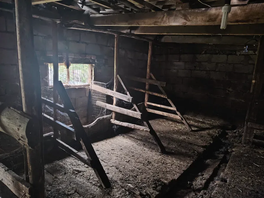 Внутреннее помещение с деревянными перекрытиями и грязью на полу