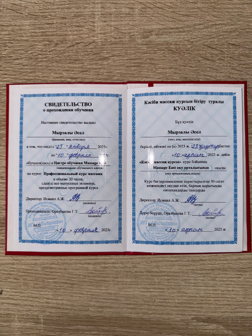Массажисттің кәсіби оқыту сертификаты