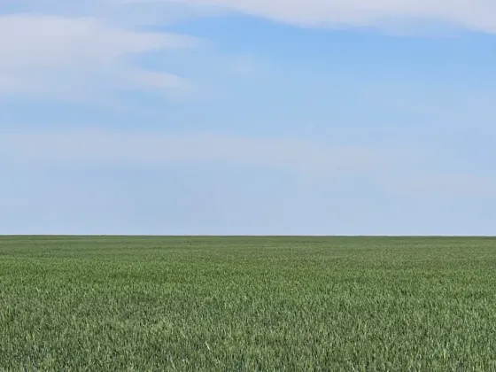 Шаруа жерінде шөп жинау машина мен трактордың көмегімен