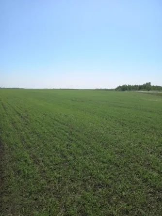 Шаруа жерінде шөп жинау машина мен трактордың көмегімен