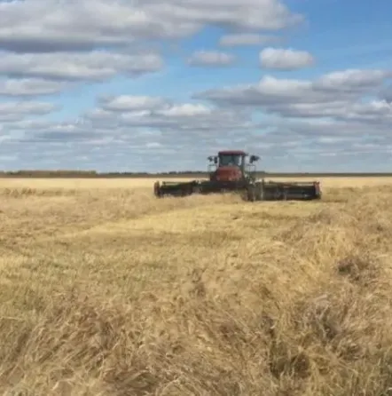 Шаруа жерінде шөп жинау машина мен трактордың көмегімен
