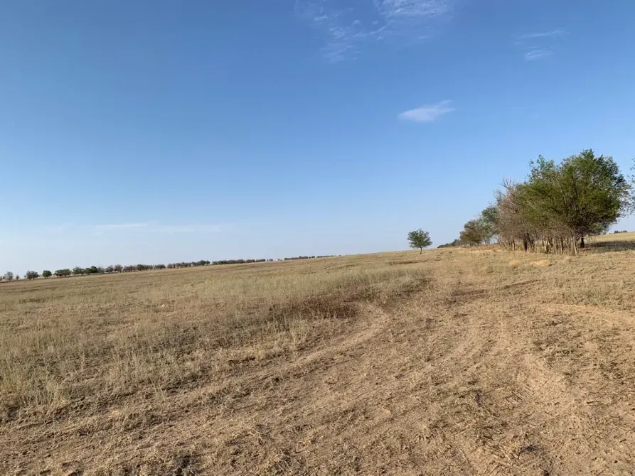 Пустое поле под ясным небом