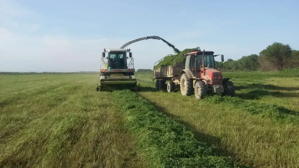 Сборка трав с помощью машины и трактора на фермерском поле