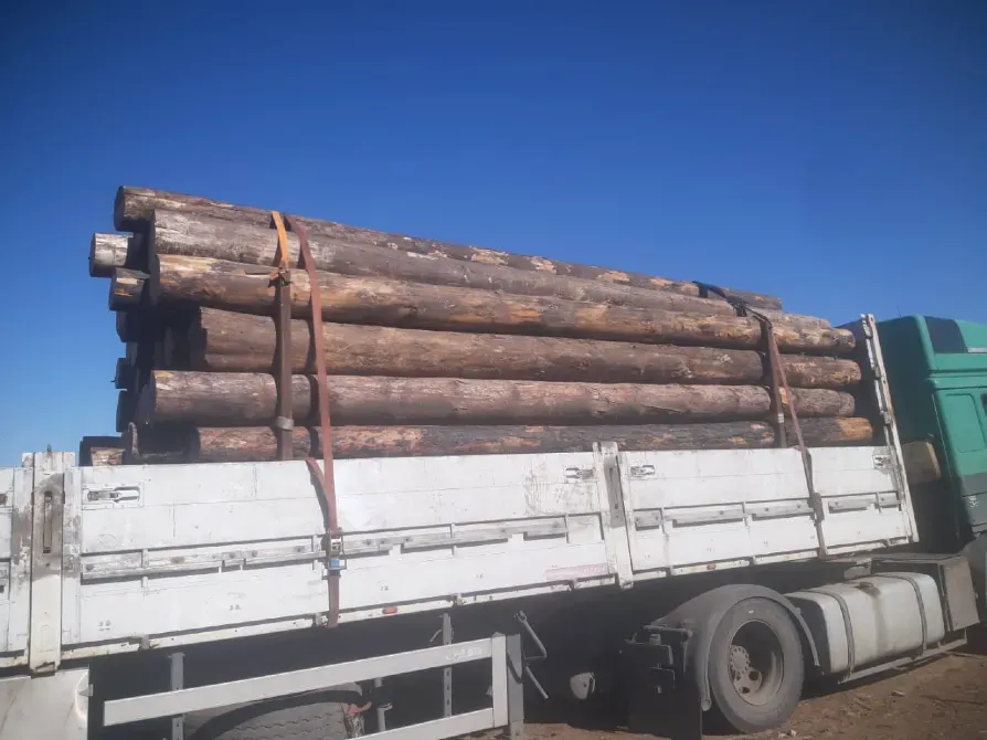 Грузовик с бревнами, перевозящими древесину под голубым небом