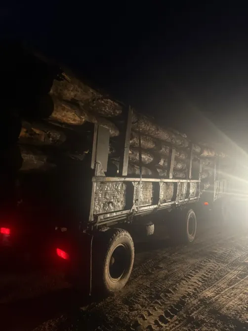 Грузовик с бревнами ночью, яркий свет сзади