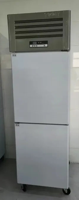 Ақ түсті, доңғалақты мұздатқыш камерасы бар тоңазытқыш