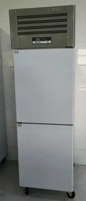 Соғарма камерасы жоғарыда орналасқан, ақ түсті, дөңгелектері бар тоңазытқыш