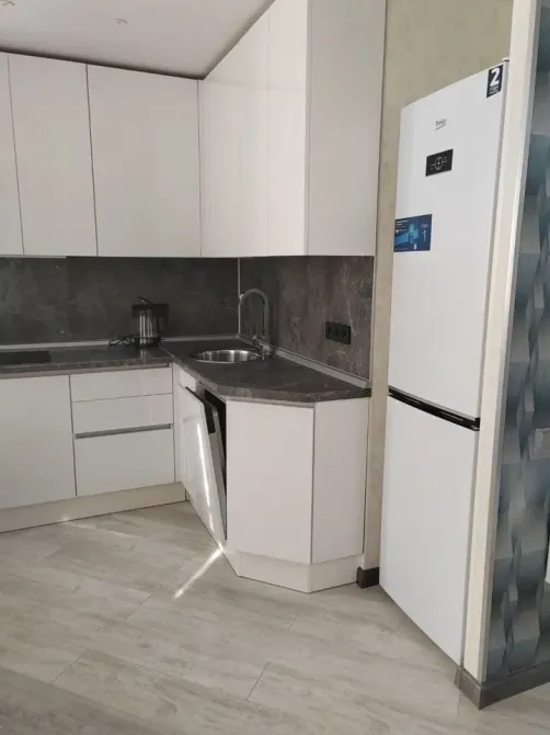 Кухня с бытовой техникой и белым холодильником