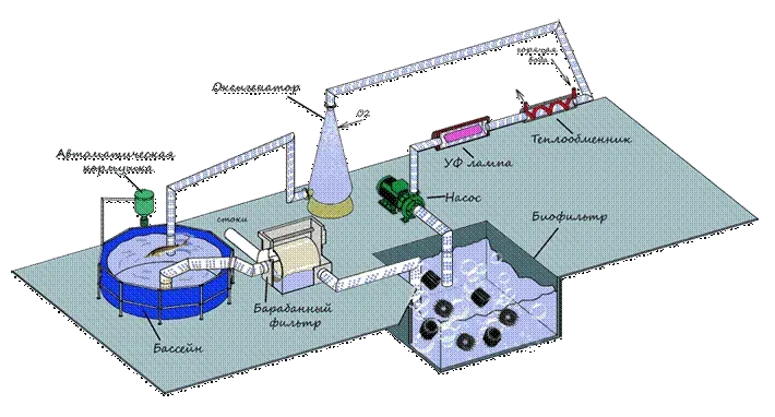 Схема системы очистки воды с элементами трубопровода и фильтрации