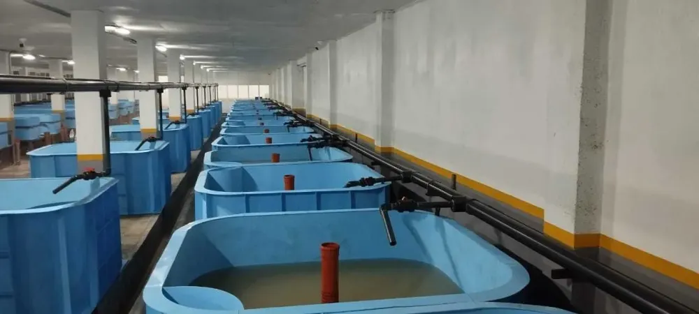 Внутренний вид рыбоводного хозяйства с большими резервуарами