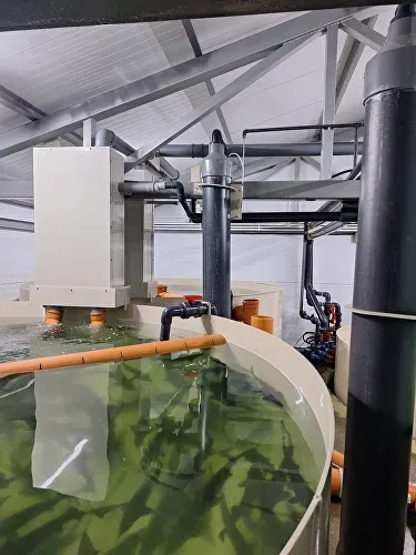 Установка для очистки воды с видимыми рыбоводными резервуарами