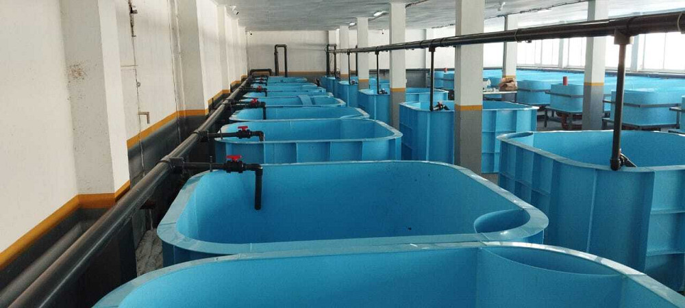 Ряд рыбоводных резервуаров с трубопроводами для циркуляции воды