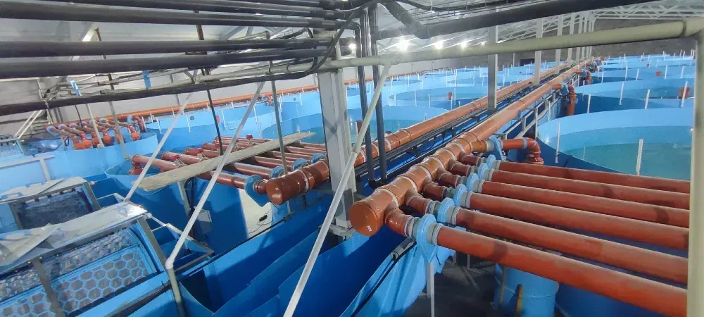 Внутренний вид рыбоводного хозяйства с трубопроводами и резервуарами для воды