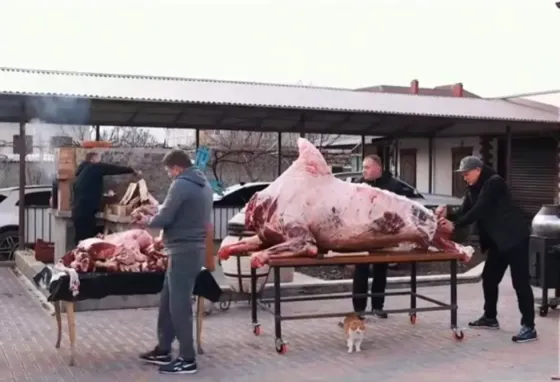 мясо на столе с руками, работающими над ним