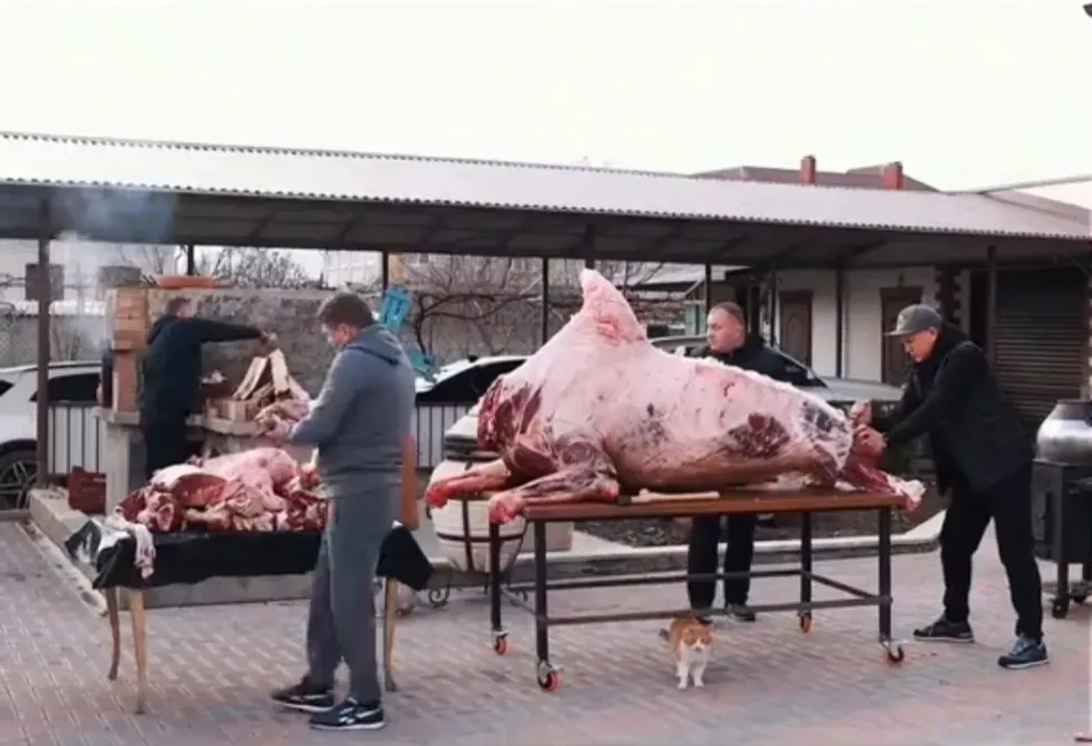 көшеде бірнеше адамның ет бөлшектеп отырған процесі