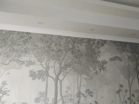 Обои с изображением деревьев в серых тонах на стене