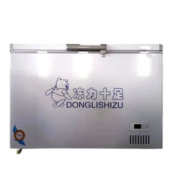 Температураны реттеу мүмкіндігі және алдыңғы панелінде композициясы бар DONGLISHIZU тоңазытқышы