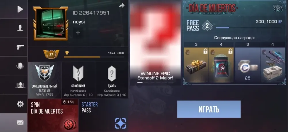 Профиль игрока в игре с ID и статистикой