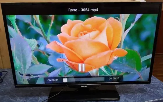 Бұл суретте экранда жасыл фонның үстінде отырғызылған қызғылт сары раушанмен бейне көрсетілген теледидар бейнеленген. Экранда сонымен қатар ойнатудың 