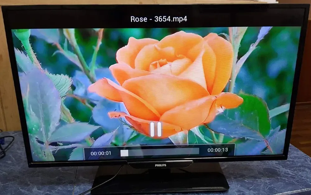 Бұл суретте экранда жасыл фонның үстінде отырғызылған қызғылт сары раушанмен бейне көрсетілген теледидар бейнеленген. Экранда сонымен қатар ойнатудың уақыт индикаторы көрінеді.