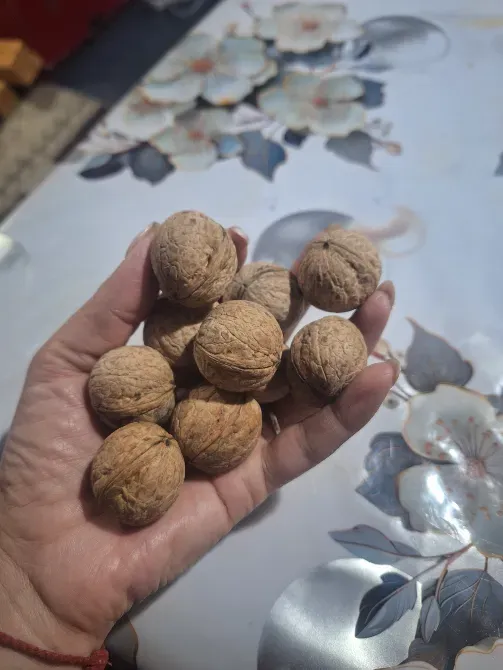 Рука с несколькими орехами на фоне цветочного узора