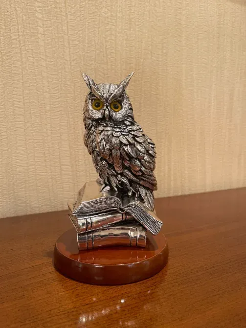 Статуэтка совы с передней стороны на книжной подставке