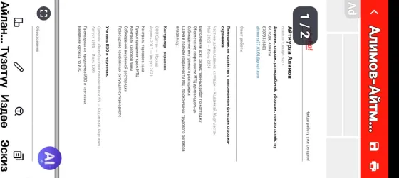 Алимова-Айтм компаниясының құжаты. Бөлімдерінде ағымдағы жобалар мен байланыс ақпараттары туралы мәліметтер көрсетілген.