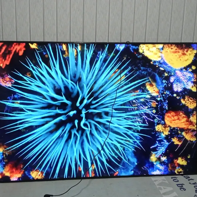 Яркое изображение синюших морских организмов на экране телевизора